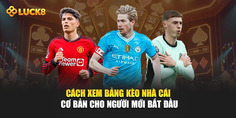Cách xem bảng kèo nhà cái cơ bản cho người mới bắt đầu