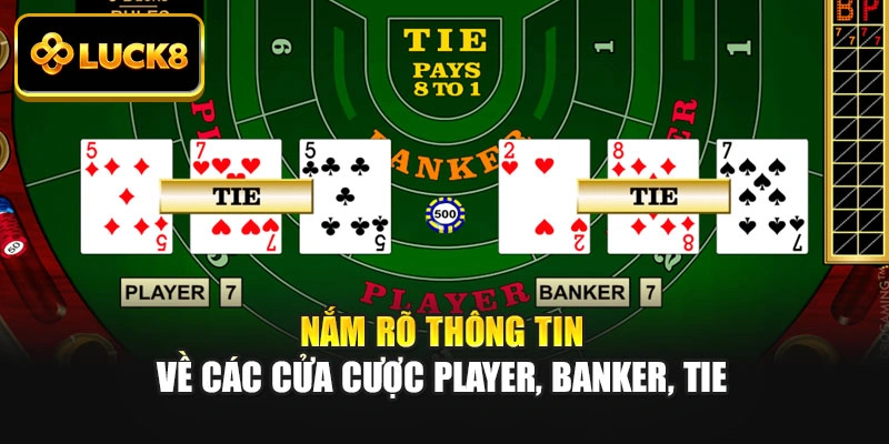 Nắm rõ thông tin về các cửa cược Player, Banker, Tie