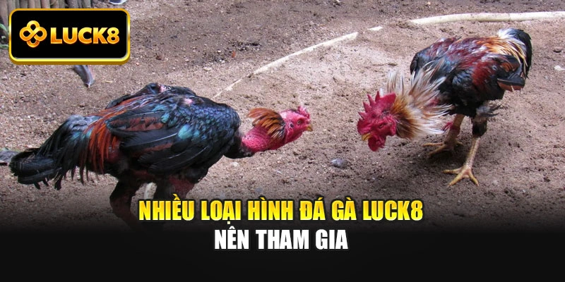 Nhiều loại hình đá gà Luck8 nên tham gia
